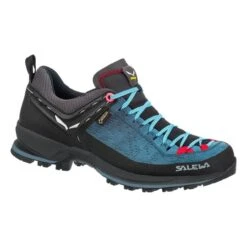 Salewa Ws Mtn Trainer 2 GTX