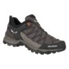 Salewa Ws Mtn Trainer Lite GTX