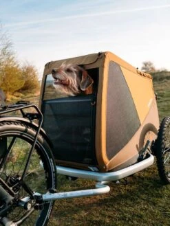 Croozer Dog Peppa -Camping And Hiking Shop 121000818 12 1280x1280