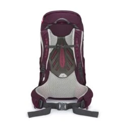 Lowe Alpine Cholatse ND30 -Camping And Hiking Shop Cholatse ND30 Fig FMQ 38 FG 30 CarrySystem 1280x1280