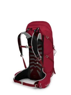 Osprey Talon 36 -Camping And Hiking Shop Talon 36 S21 SideBack Cosmic Red 1280x1280